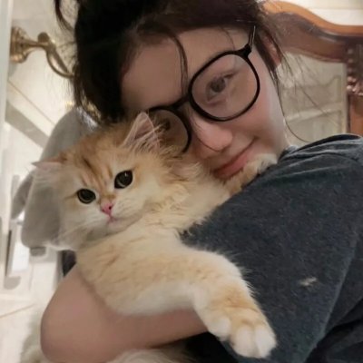 代号猎鹰